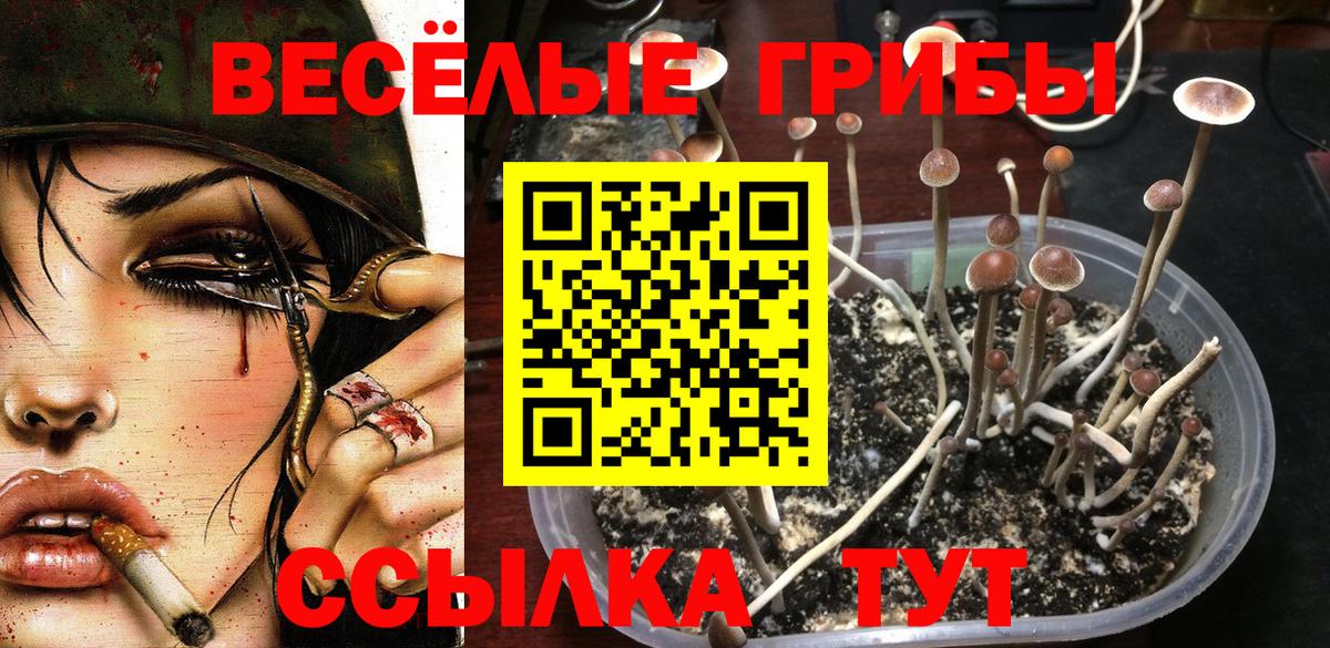 Маркс  Галлюциногенные грибы GOLDEN TEACHER  Вход с VPN 
