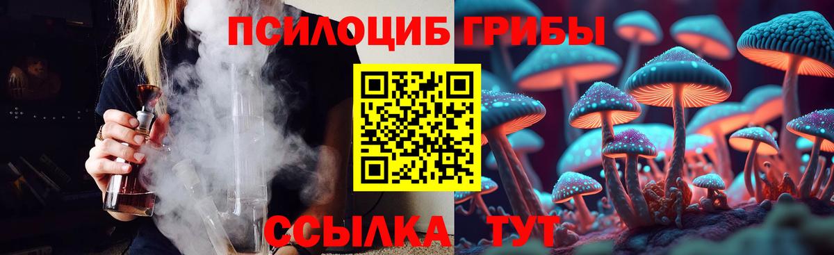 Псилоцибиновые грибы Magic Shrooms Маркс